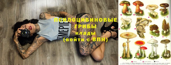 ECSTASY Богородицк